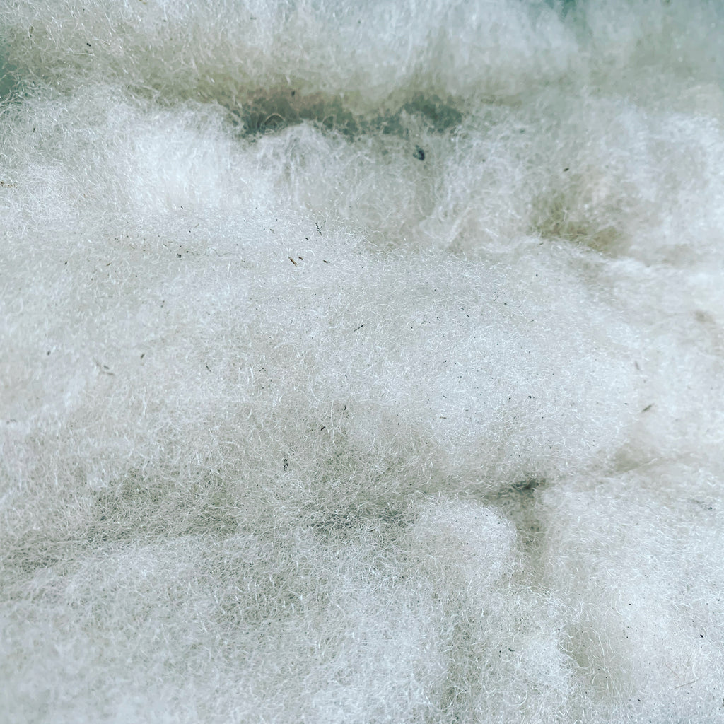 Simply Shetland DK: 100g - Bog Cotton