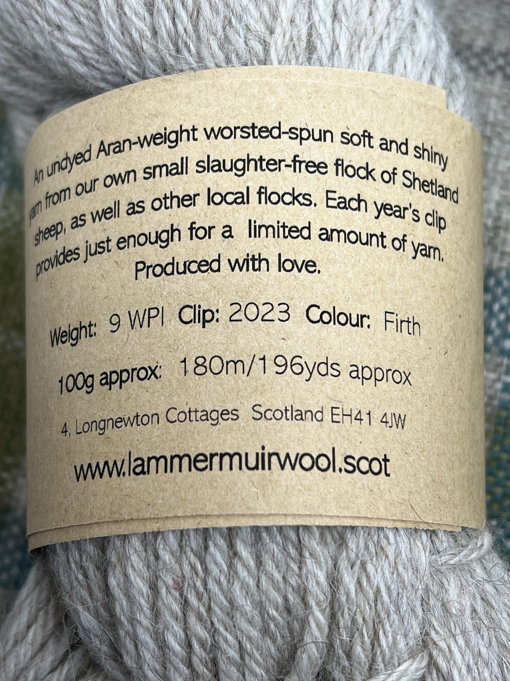 Simply Shetland Aran: 100g - Firth