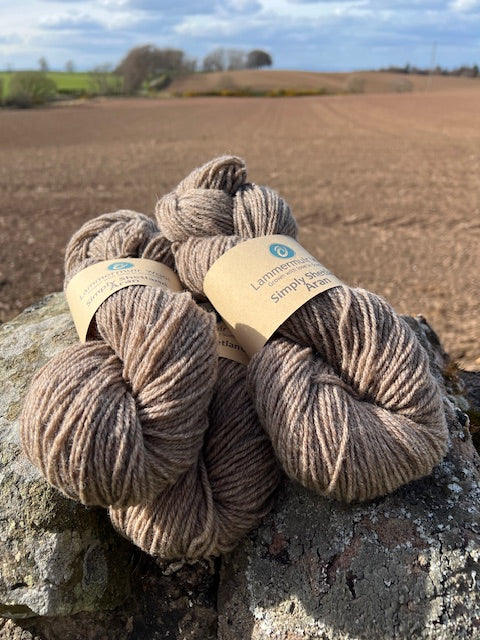 Simply Shetland Aran:  100g - Hoolet