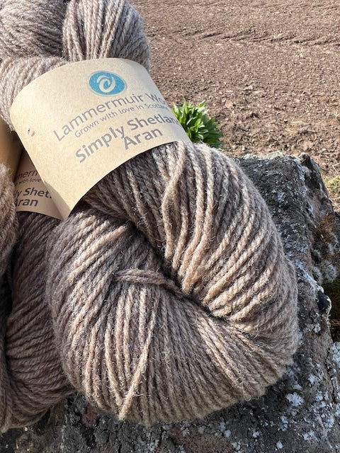 Simply Shetland Aran:  100g - Hoolet