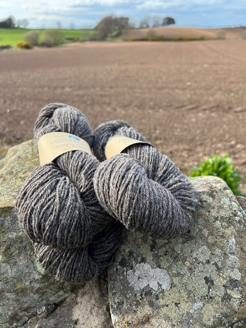 Simply Shetland Aran:  100g - Skerry