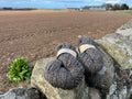 Simply Shetland Aran:  100g - Skerry