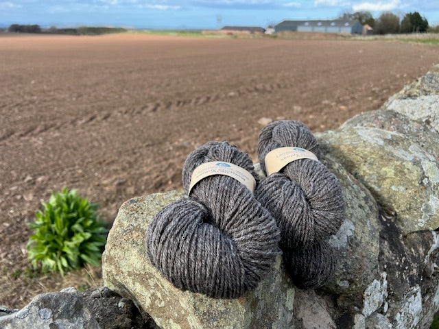 Simply Shetland Aran:  100g - Skerry