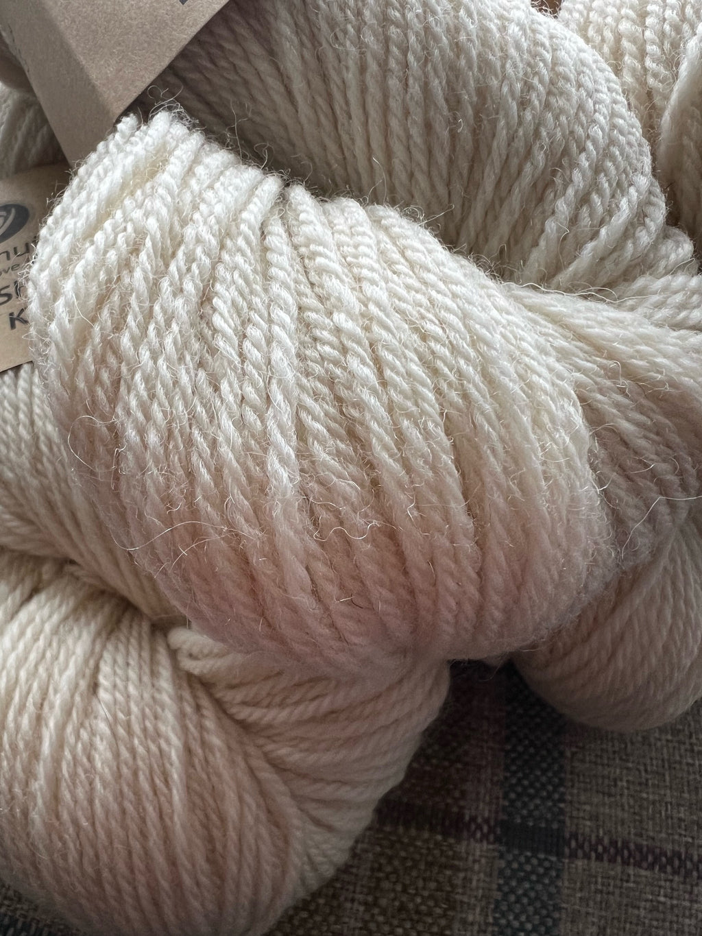 Simply Shetland DK: 100g - Bog Cotton